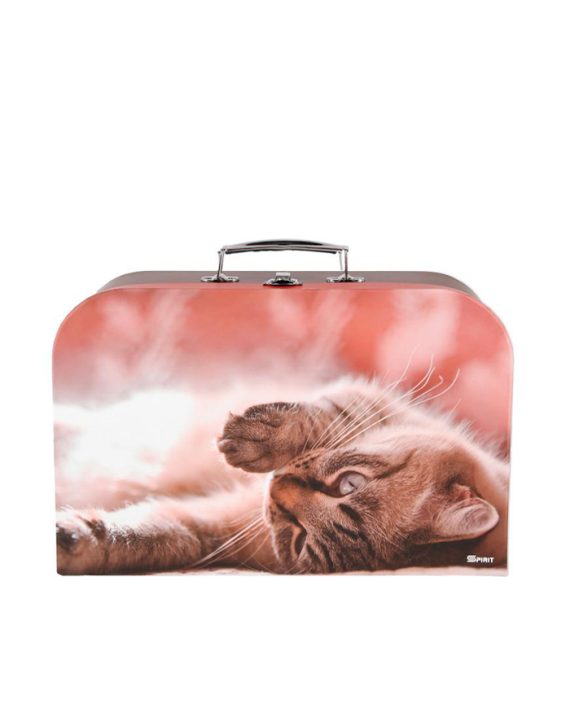 KOFER MICRO LITTLE CAT MC Gatarić